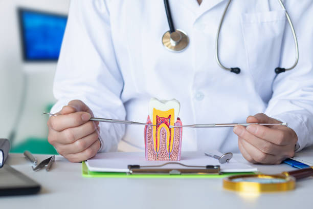Best Emergency Dental Care for Trauma or Injury in Mahtomedi, MN